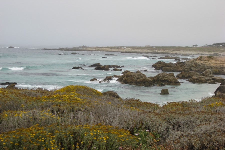 ../image/17 mile drive 1.jpg